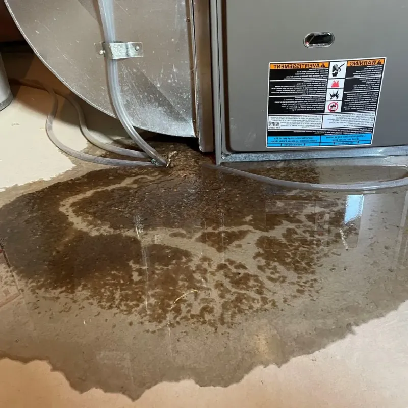 Pipe Burst and Leak Restoration in Gardiner, ME