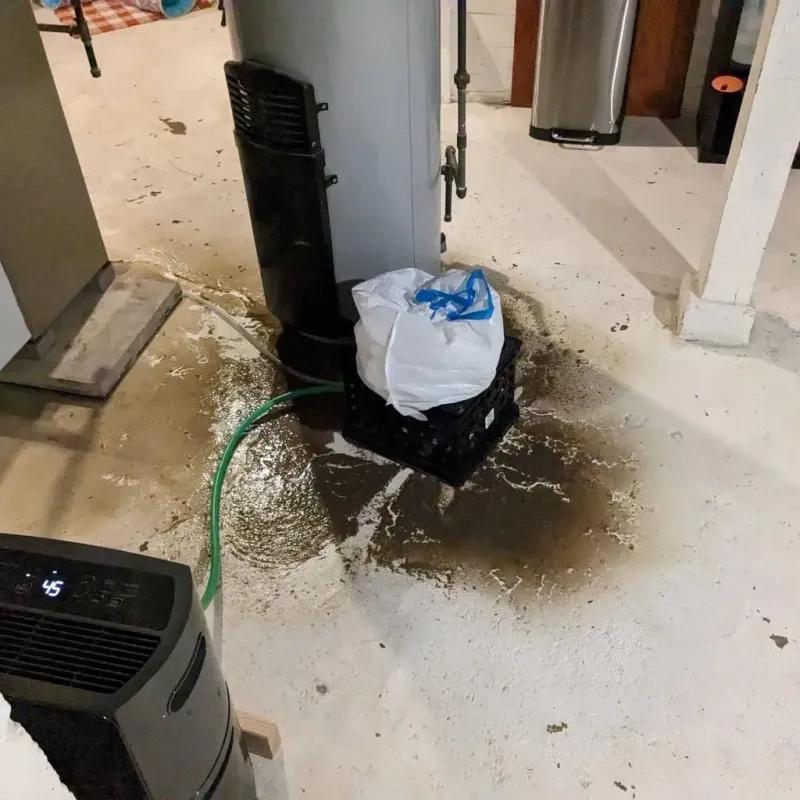 Sewage Backup Cleanup Service in Gardiner, ME